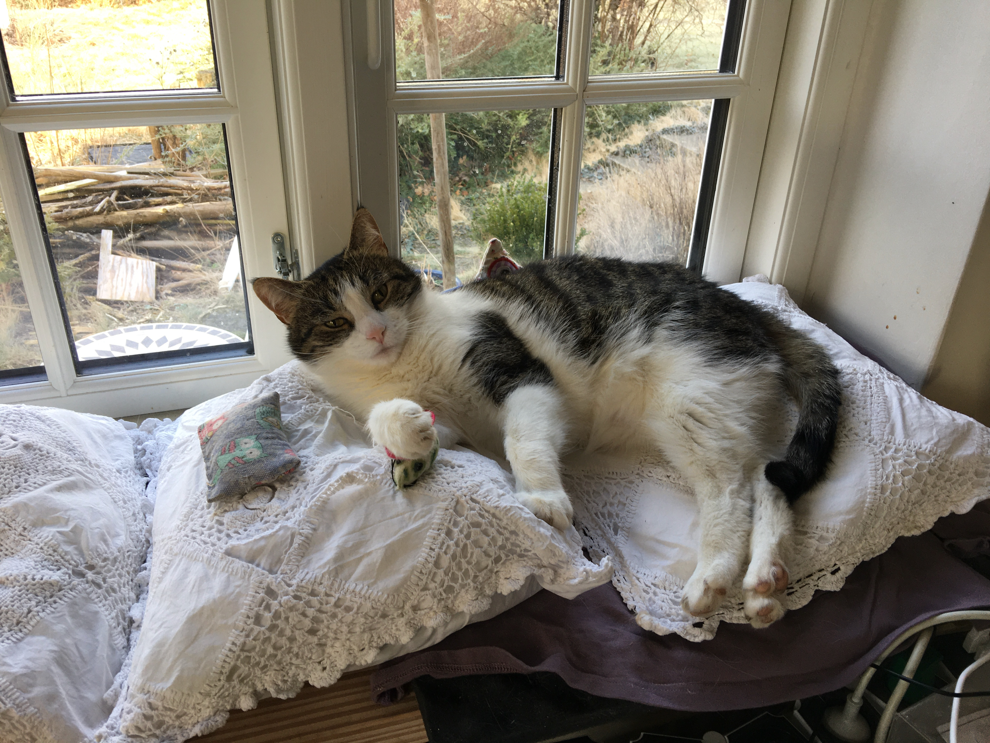Emil